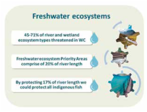 Figure 5: Due to the semi-arid nature of the South African and Western Cape Province landscape, conservation of freshwater ecosystems has become increasingly important.