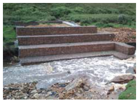 Image 1: The Duivenhoks Wetland Rehabilitation Project