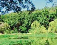 Image 2: Berg River Improvement Plan