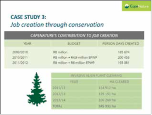 Figure 8: CapeNature’s contribution to job creation