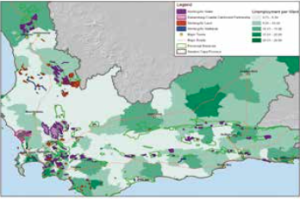 Figure 9: Response to Western Cape unemployment and poverty – deployment of resources