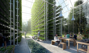 verticalgardeneffekt